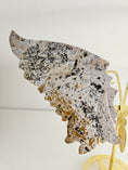Bild in Galerie-Betrachter laden, Druzy Oceans Jasper Schmetterling Flügel (115y)
