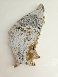 Bild in Galerie-Betrachter laden, Druzy Oceans Jasper Schmetterling Flügel (115y)