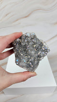 Bild in Galerie-Betrachter laden, Amethyst Angel Aura Cluster (34ang)