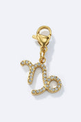 Bild in Galerie-Betrachter laden, Edelstahl - ZODIAC Charm