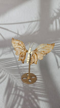 Bild in Galerie-Betrachter laden, Golden Healer Schmetterling (48gh)