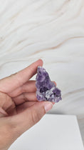 Bild in Galerie-Betrachter laden, Amethyst Cluster (7k) A- Qualität
