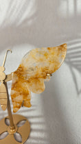 Bild in Galerie-Betrachter laden, Golden Healer Schmetterling (48gh)