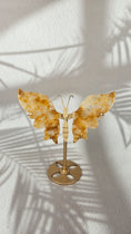 Bild in Galerie-Betrachter laden, Golden Healer Schmetterling (48gh)