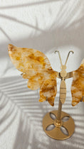 Bild in Galerie-Betrachter laden, Golden Healer Schmetterling (48gh)