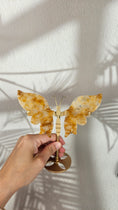 Bild in Galerie-Betrachter laden, Golden Healer Schmetterling (48gh)