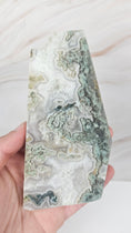 Bild in Galerie-Betrachter laden, Moosachat Slab (22m)