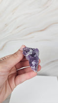 Bild in Galerie-Betrachter laden, Amethyst Cluster (7k) A- Qualität