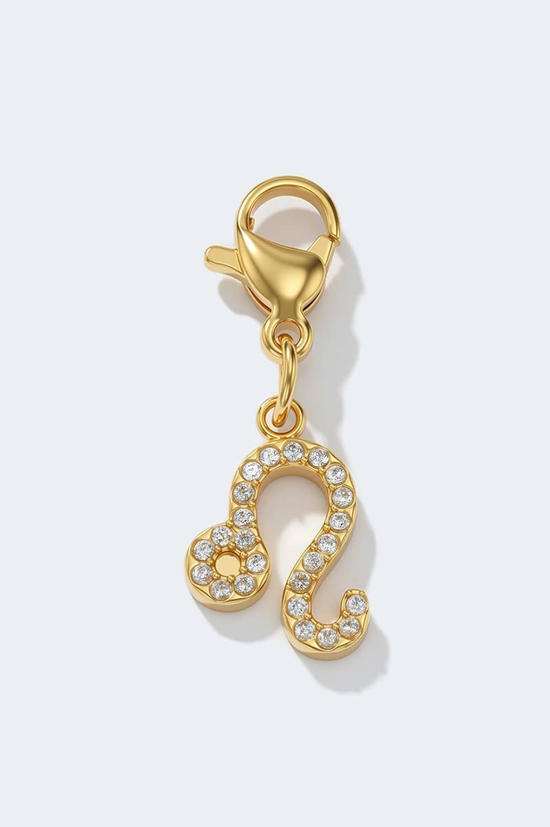 Edelstahl - ZODIAC Charm