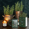 Bild in Galerie-Betrachter laden, Grüne Vase "Green Witch - Book of Spells
