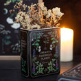 Bild in Galerie-Betrachter laden, Buchförmige Vase" Library of Poisonous Plants“

