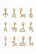 Bild in Galerie-Betrachter laden, Edelstahl - ZODIAC Charm
