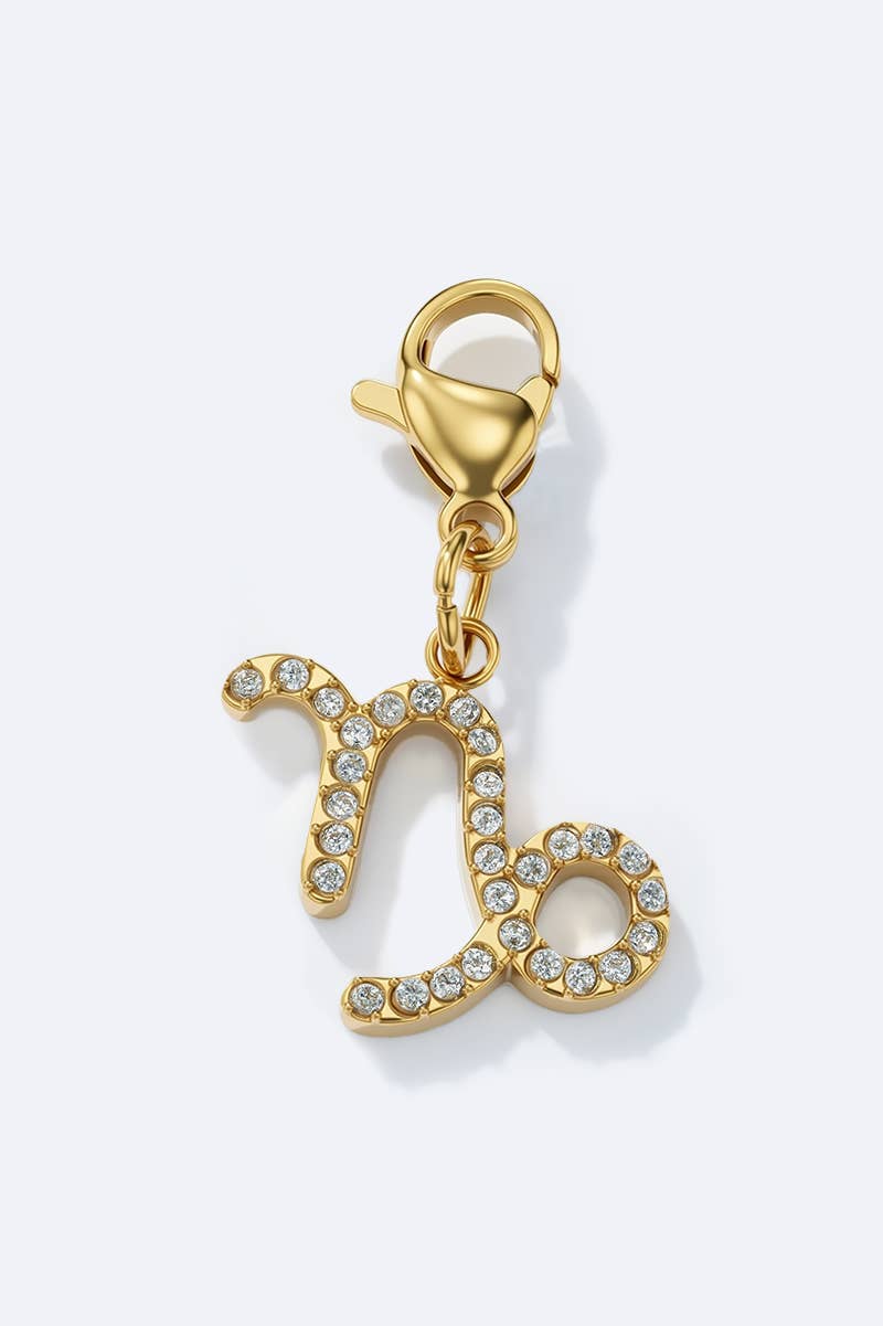 Edelstahl - ZODIAC Charm