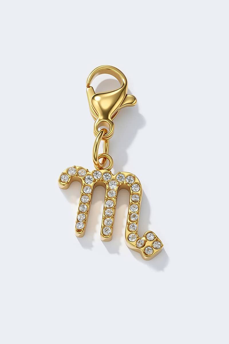 Edelstahl - ZODIAC Charm