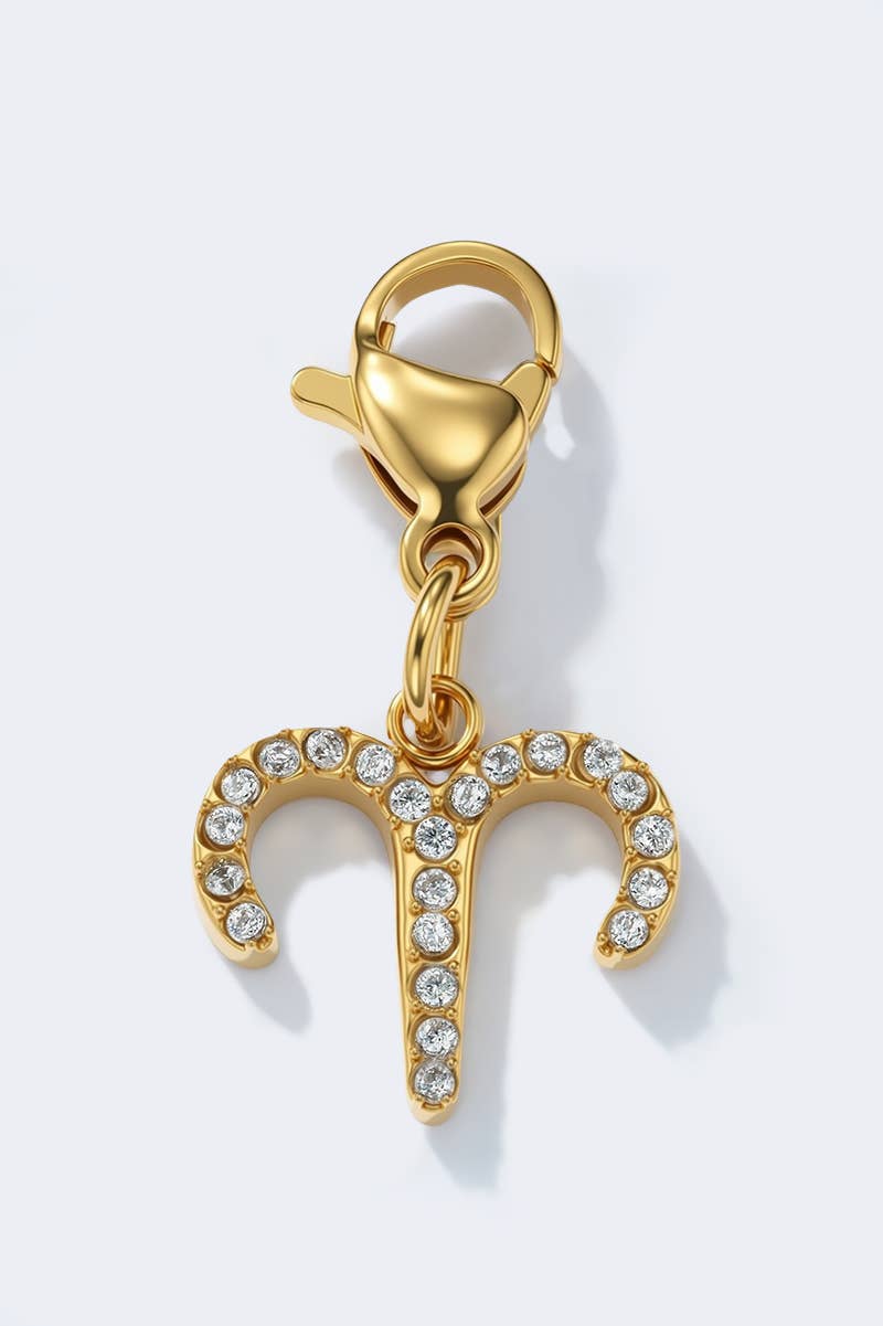 Edelstahl - ZODIAC Charm