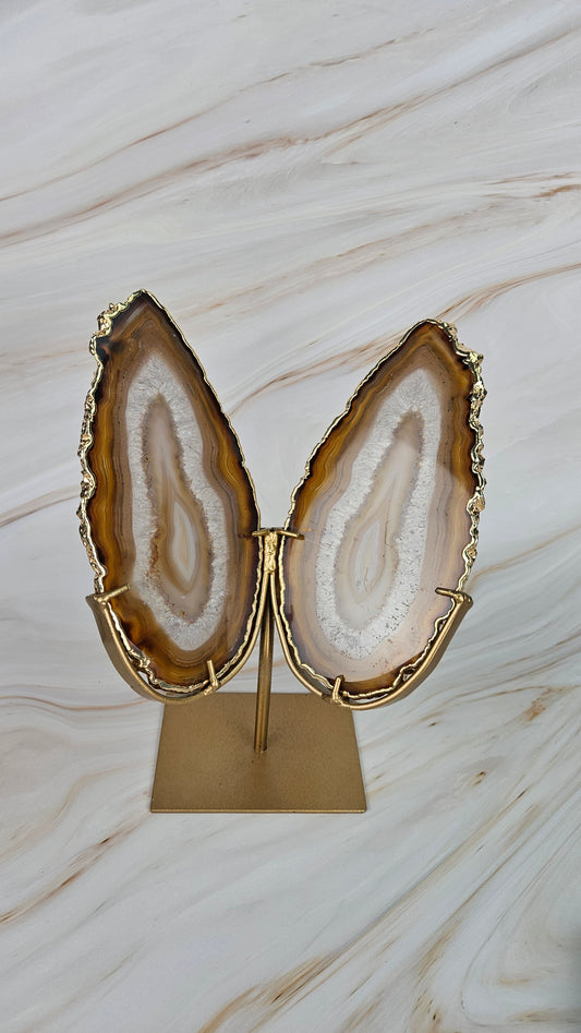 Achat Schmetterling (199ass)