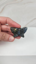 Bild in Galerie-Betrachter laden, Labradorit Schmetterling (12je)
