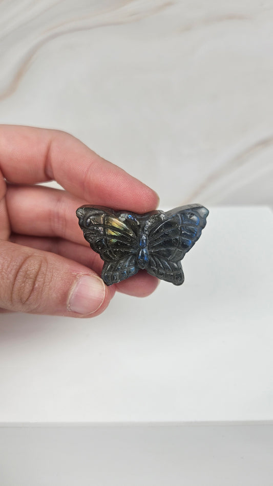 Labradorit Schmetterling (12je)