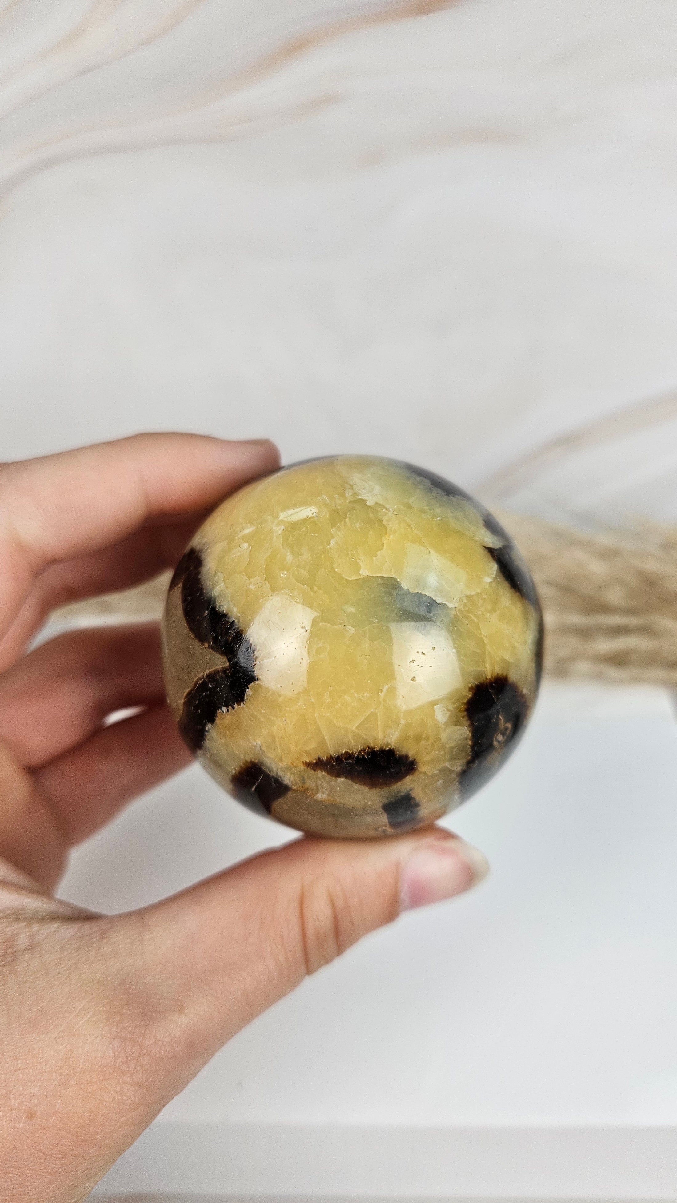 Septarie Kugel (25sep)