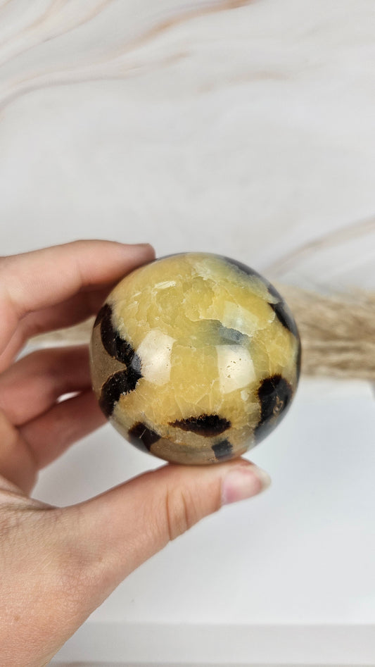 Septarie Kugel (25sep)