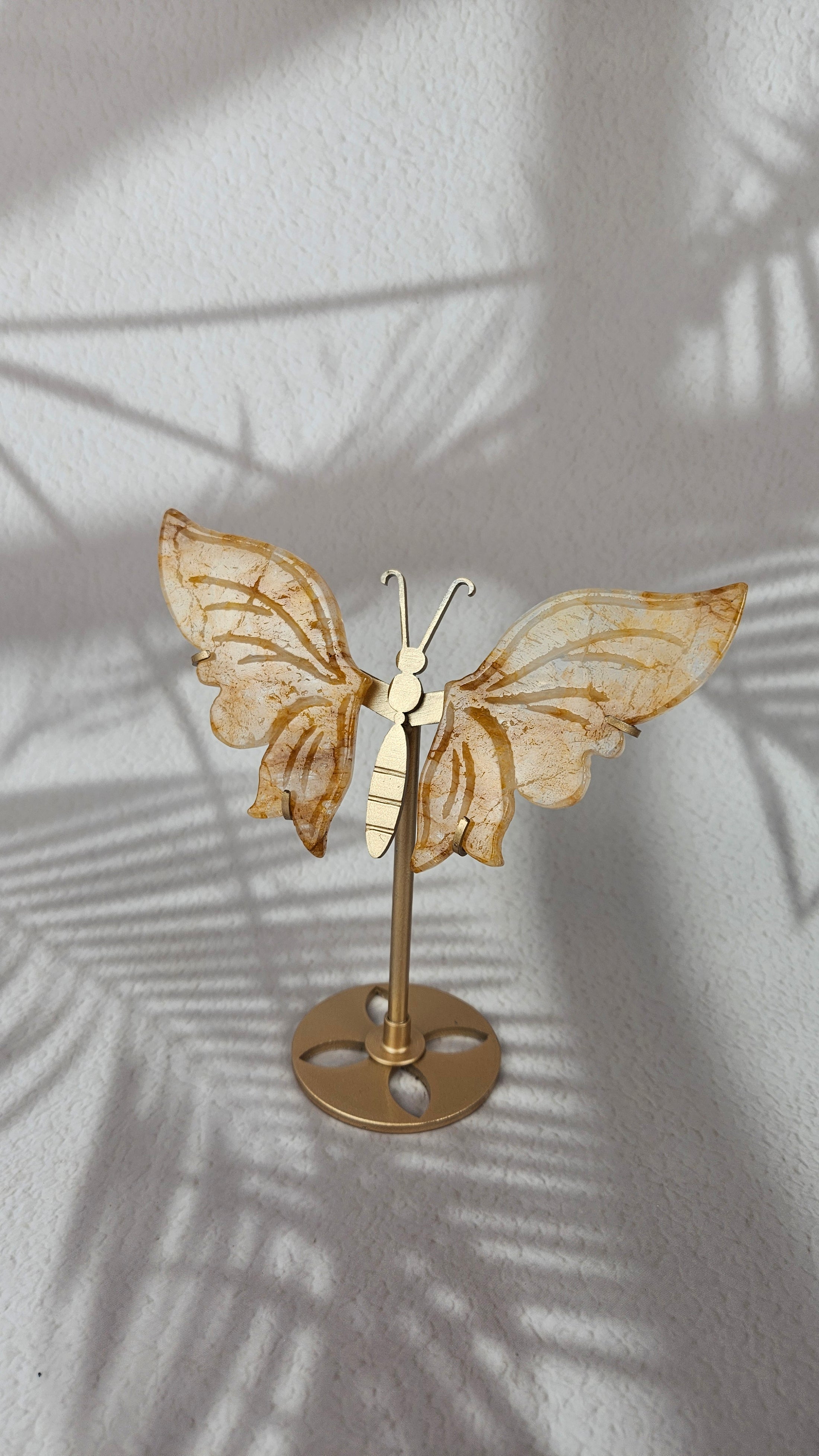 Golden Healer Schmetterling (48gh)