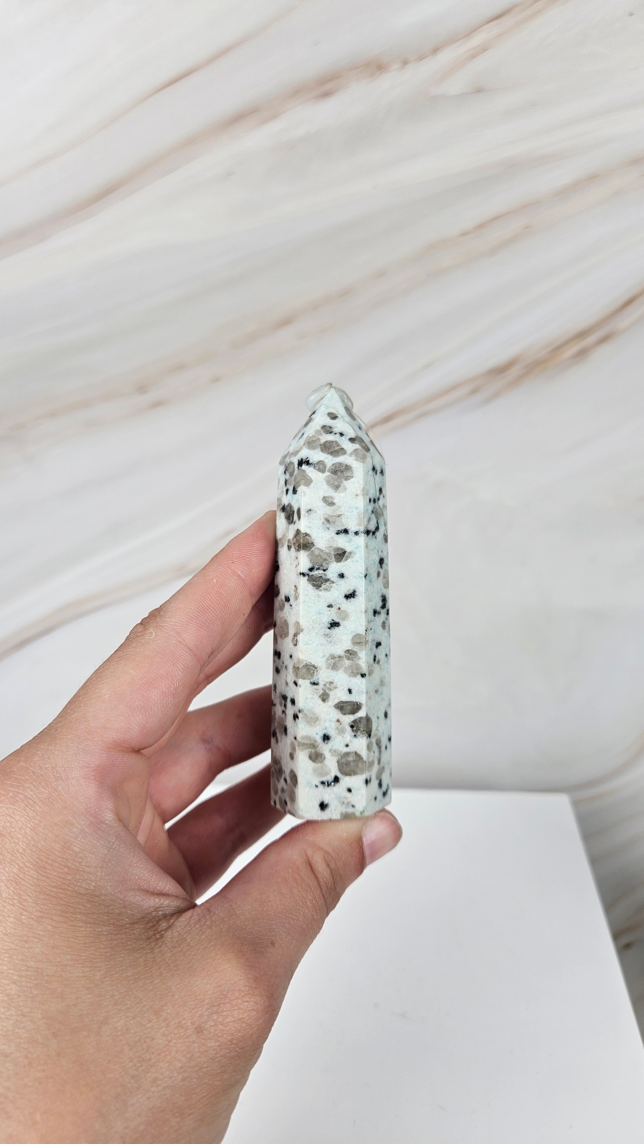 Kiwi Jasper Turm (10i)