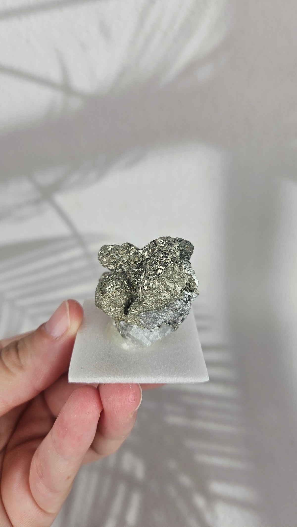 Arsenopirit aus Portugal (25st)
