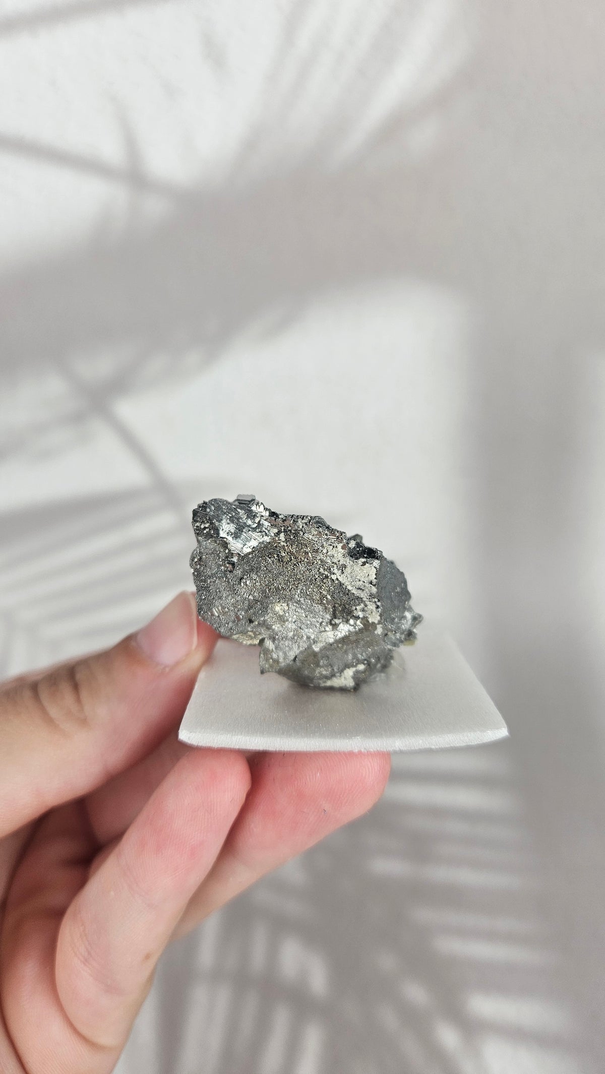 Arsenopirit aus Portugal (25gt)
