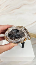 Bild in Galerie-Betrachter laden, Achat Geode mit Stand (28bc)
