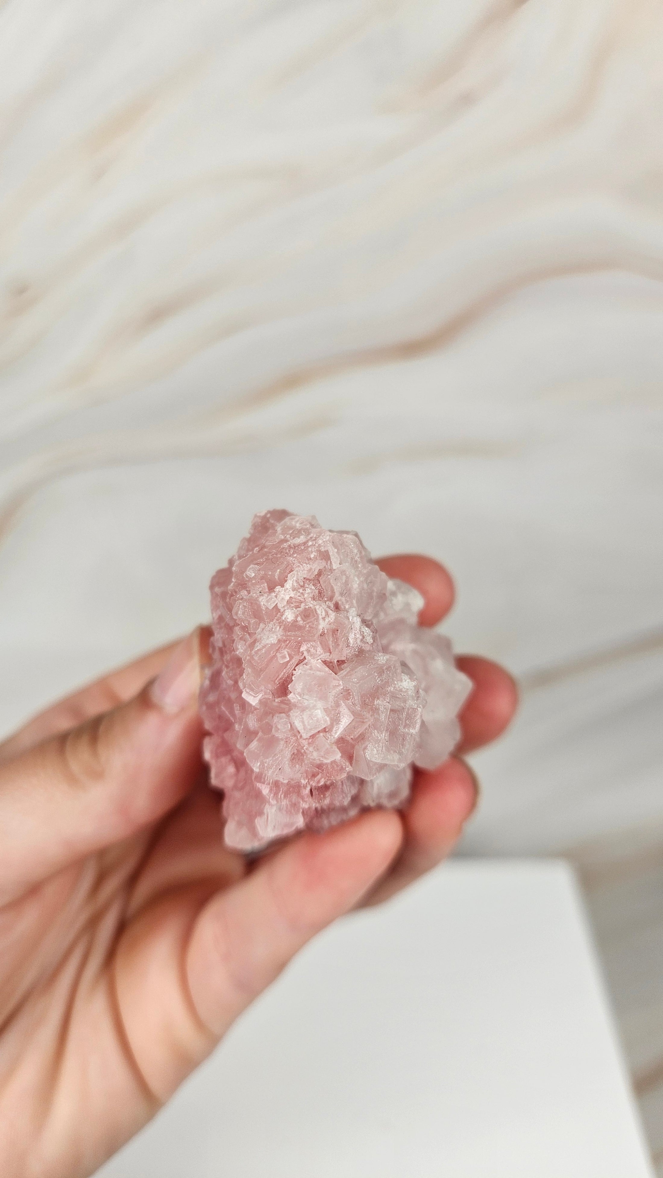 Pinker Halit (66hal)
