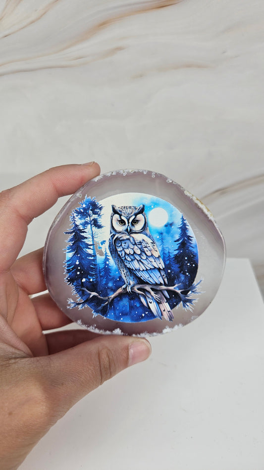 Eulen Achat Scheibe (17ee)