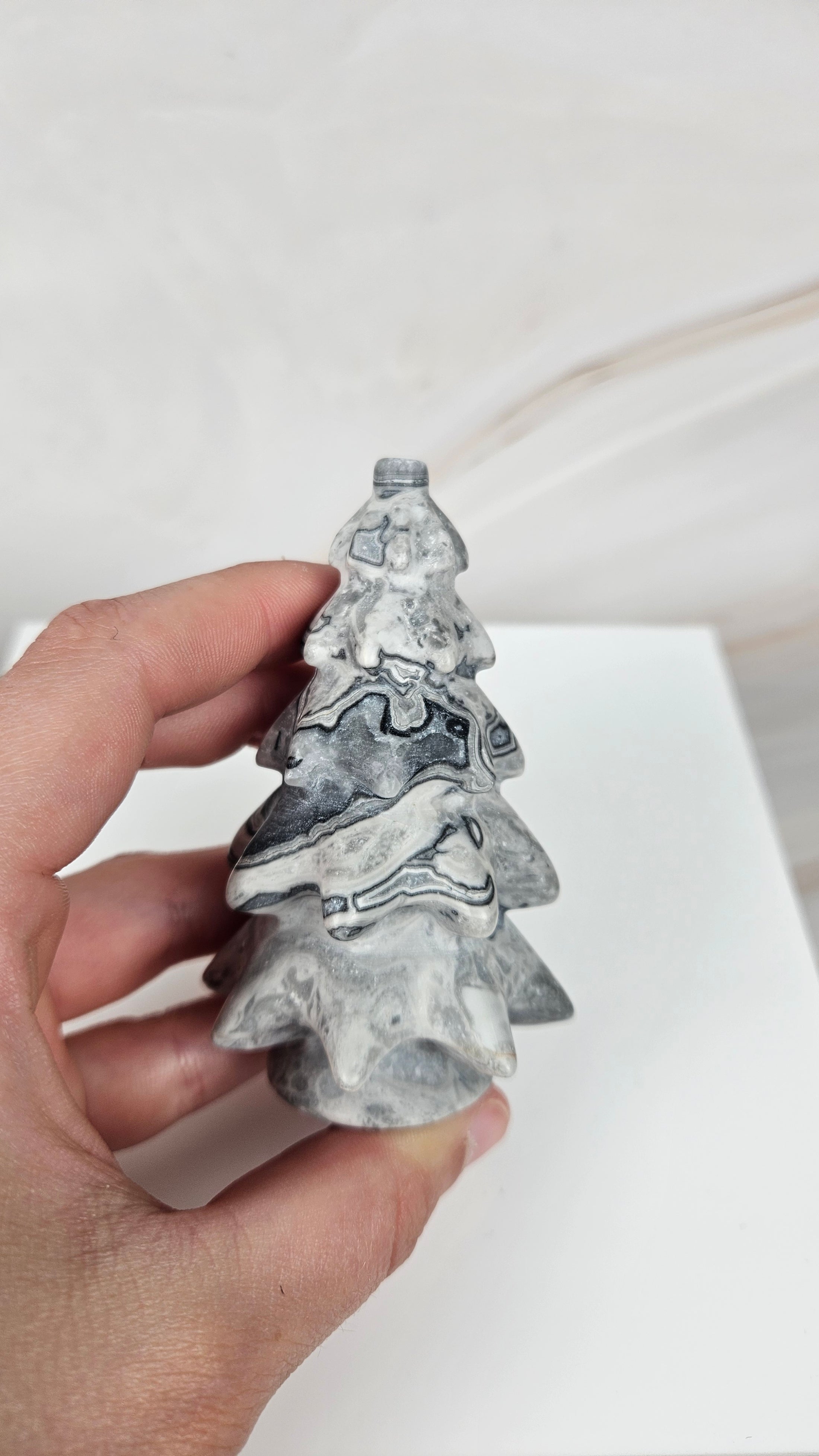 Picasso Jasper Baum (28pj)