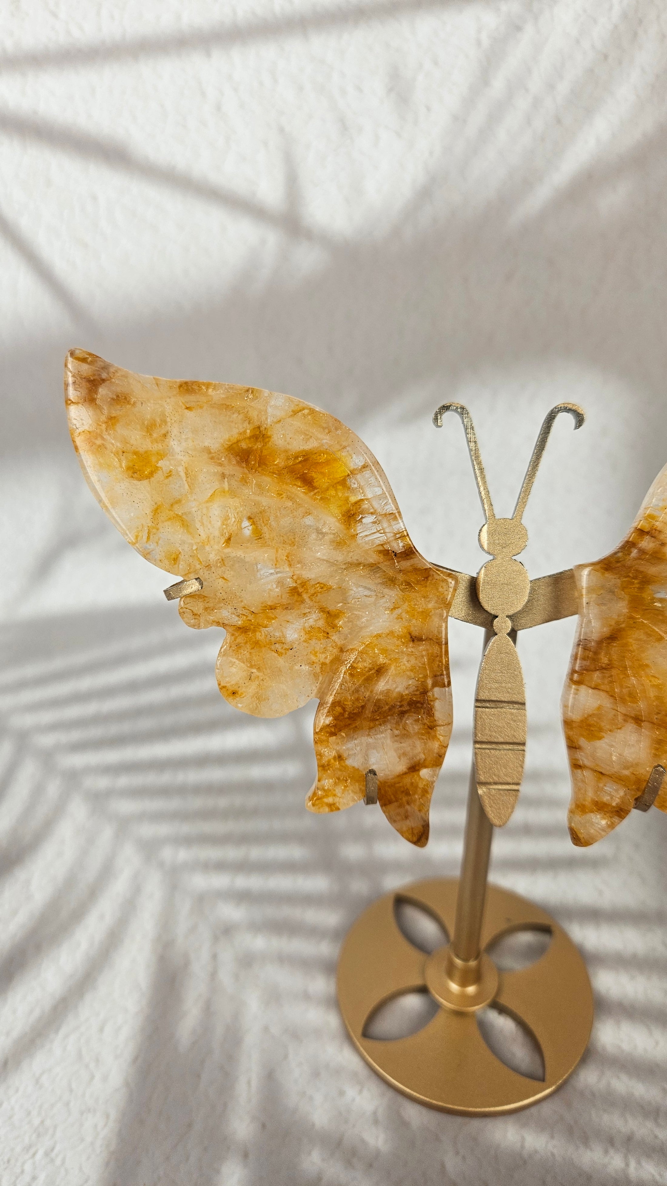 Golden Healer Schmetterling (48gh)