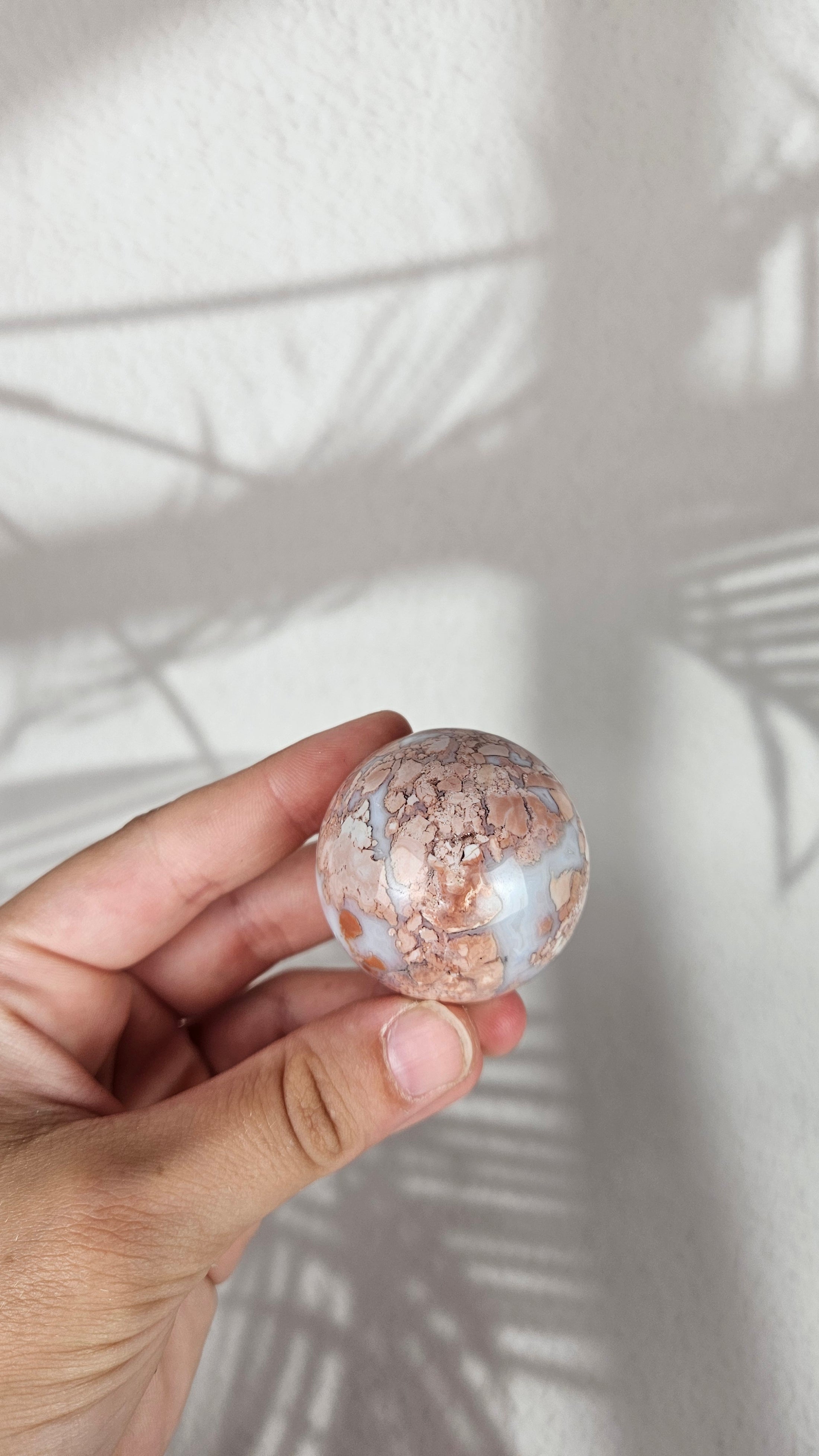 Cotton Candy Achat (33rr)