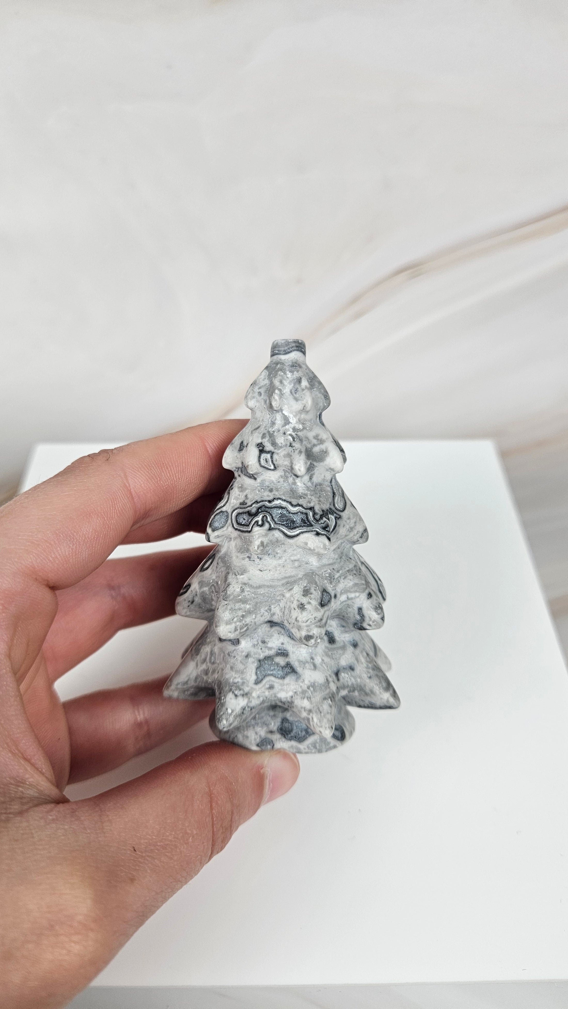 Picasso Jasper Baum (28pj)