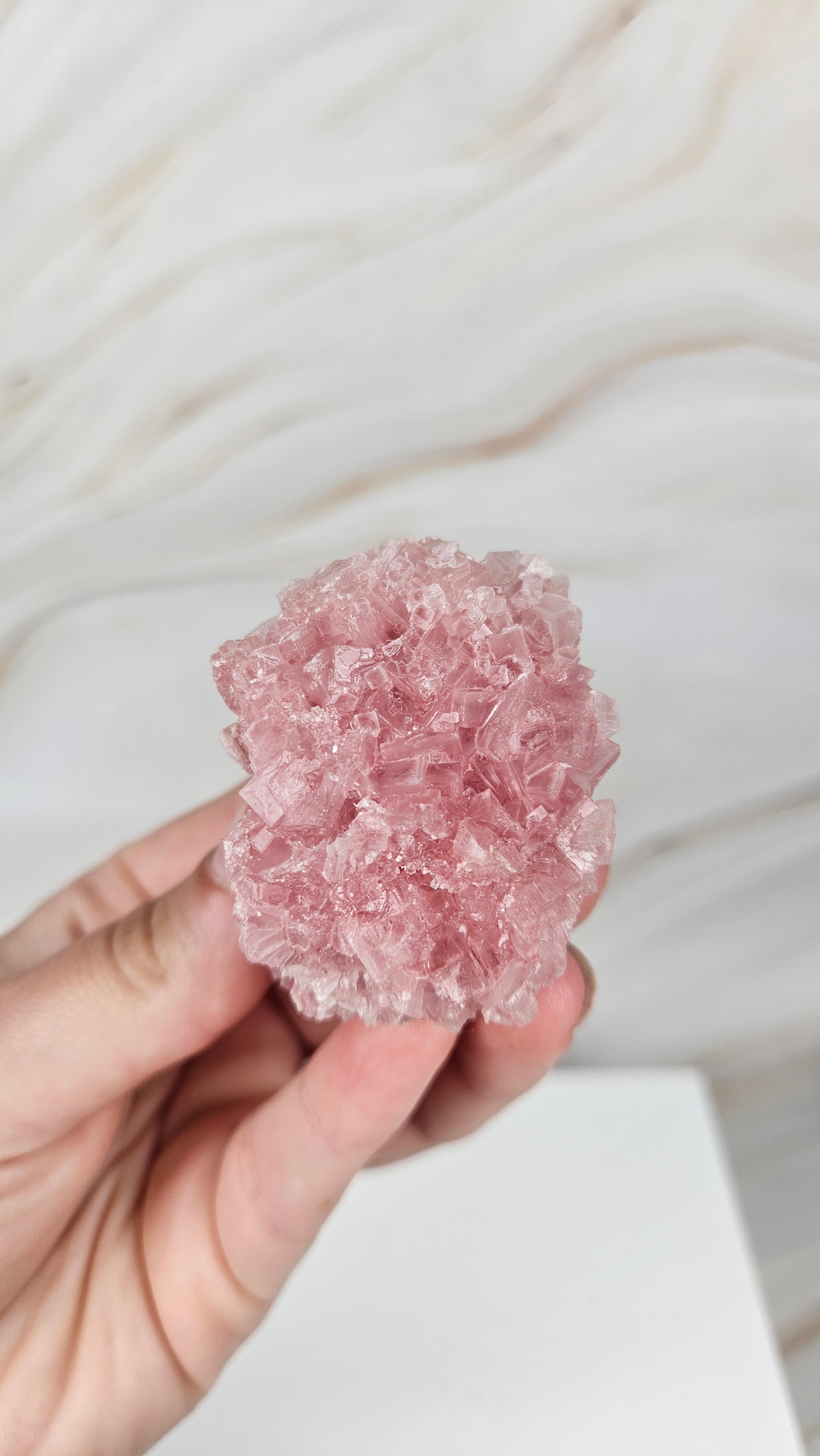 Pinker Halit (66hal)