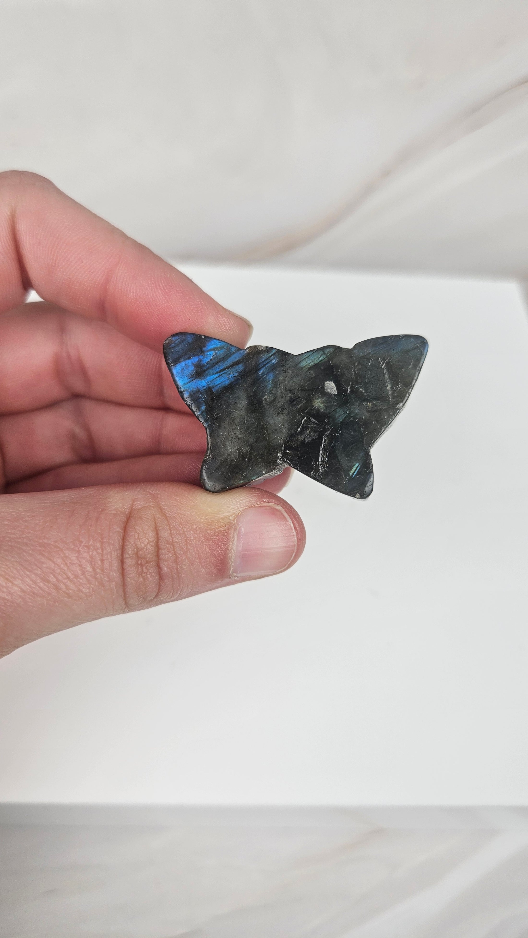 Labradorit Schmetterling (12je)