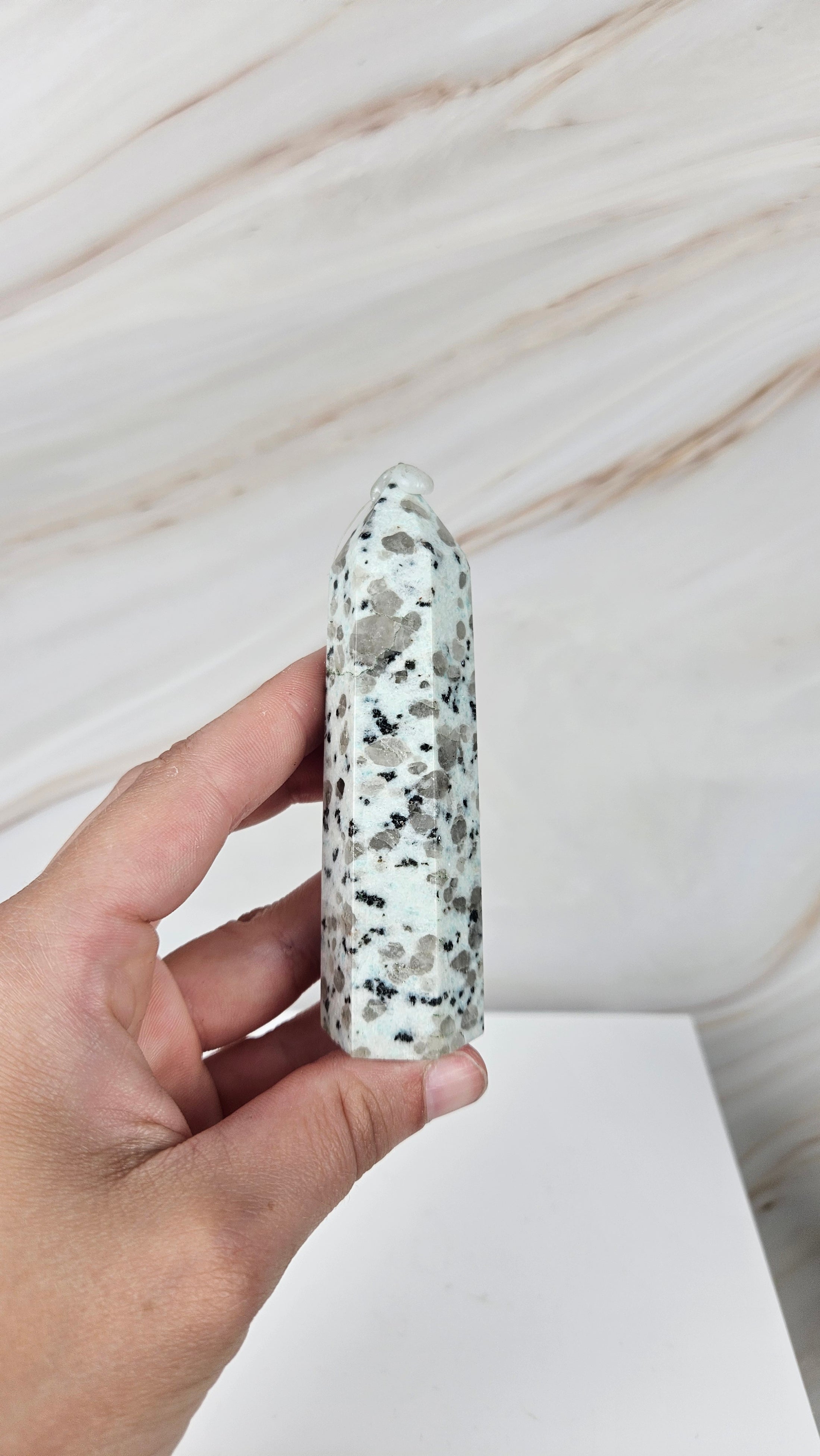 Kiwi Jasper Turm (10i)