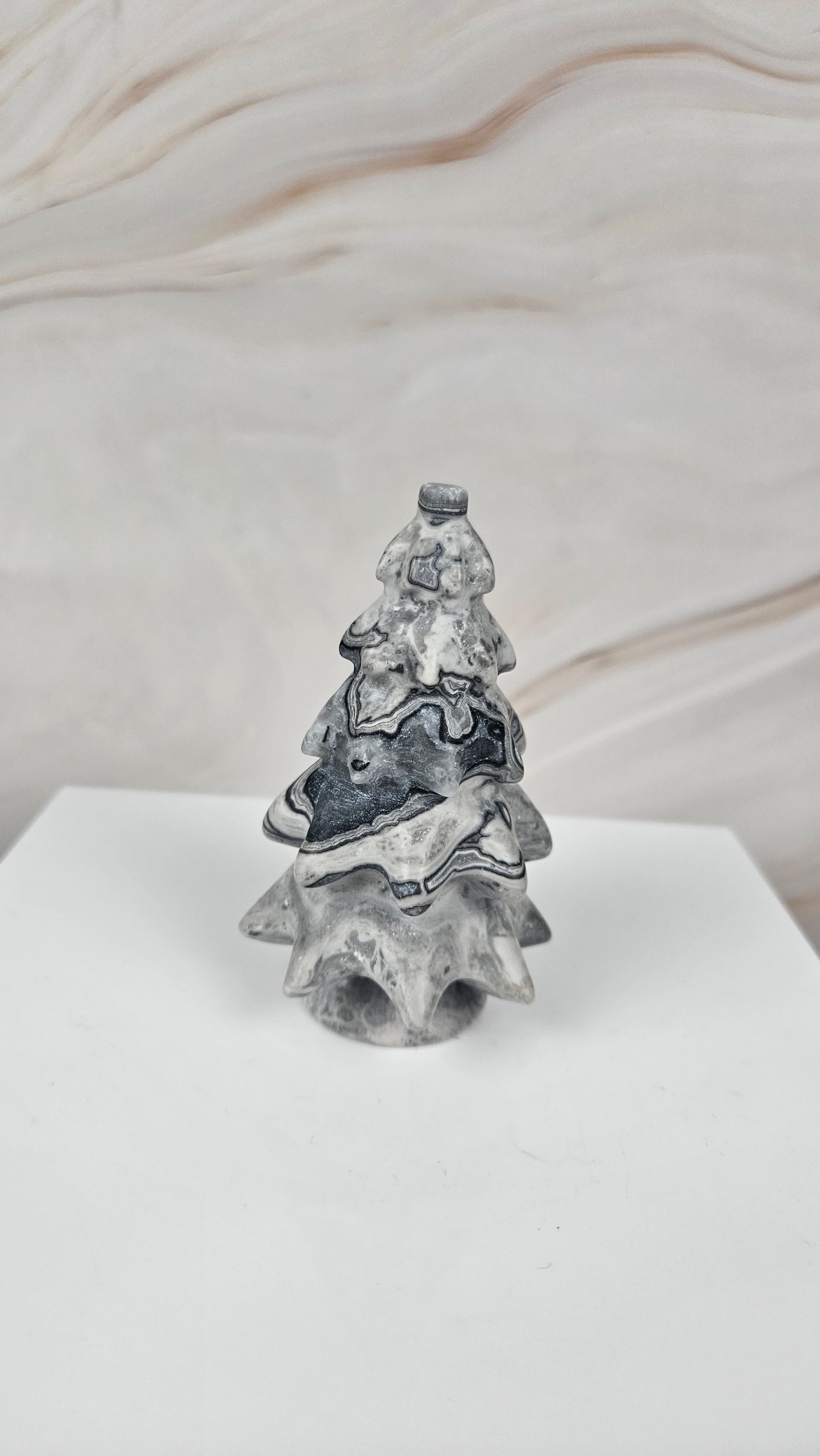 Picasso Jasper Baum (28pj)
