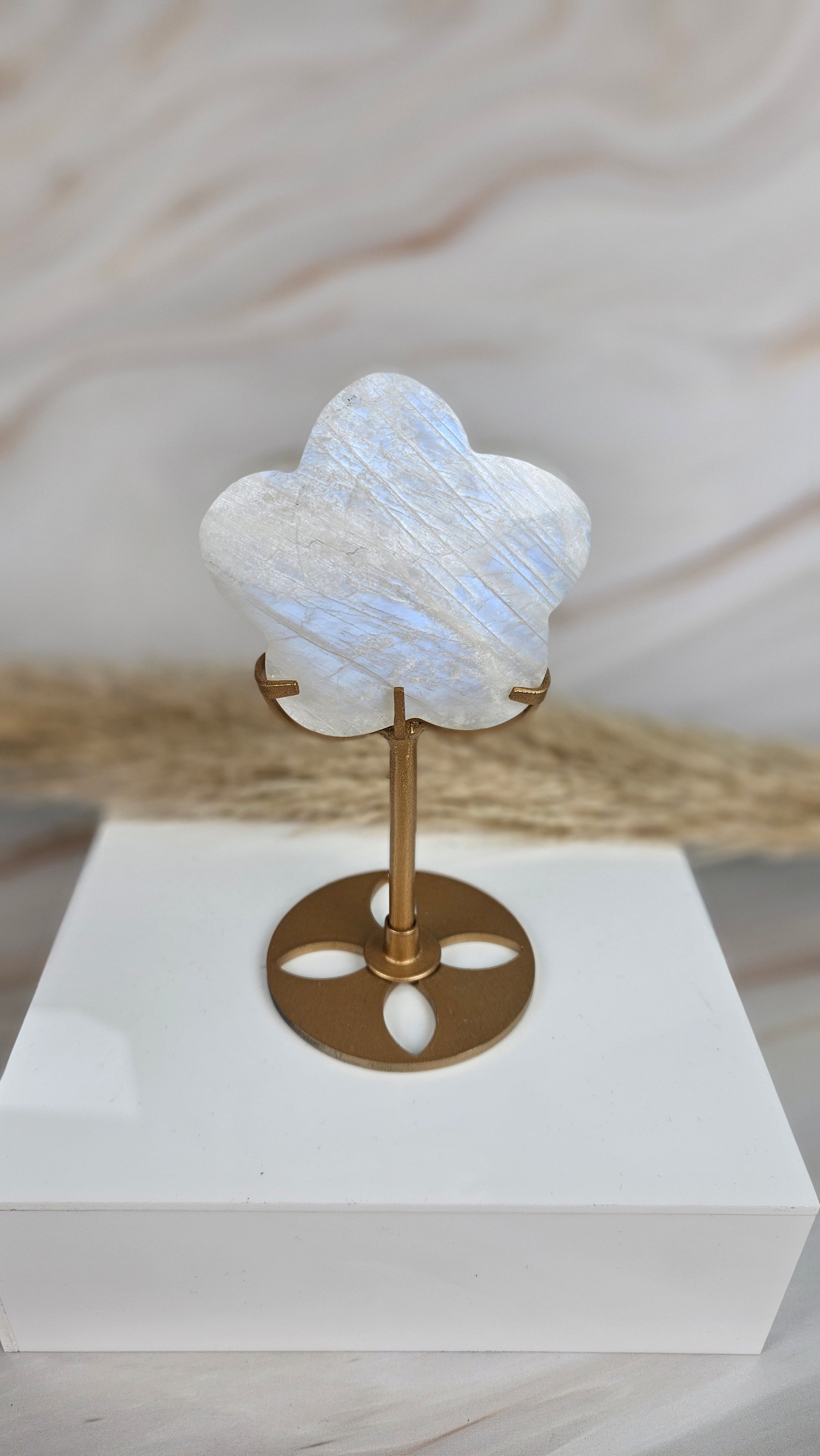 Weiße Mondstein Blume mit Stand (63wnm)