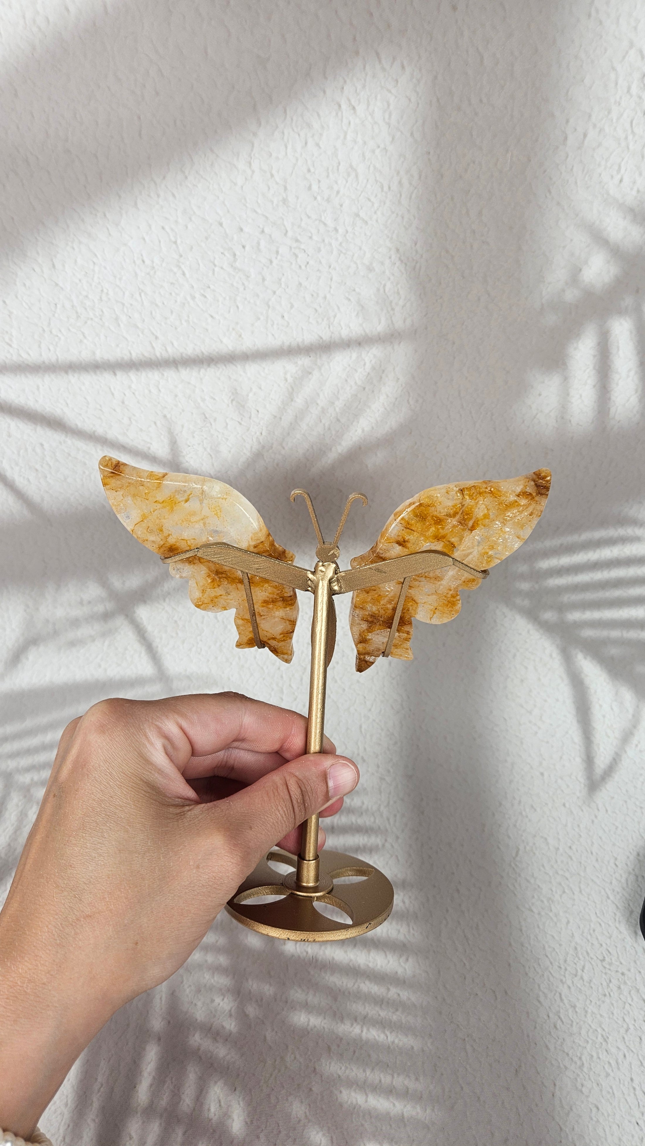 Golden Healer Schmetterling (48gh)