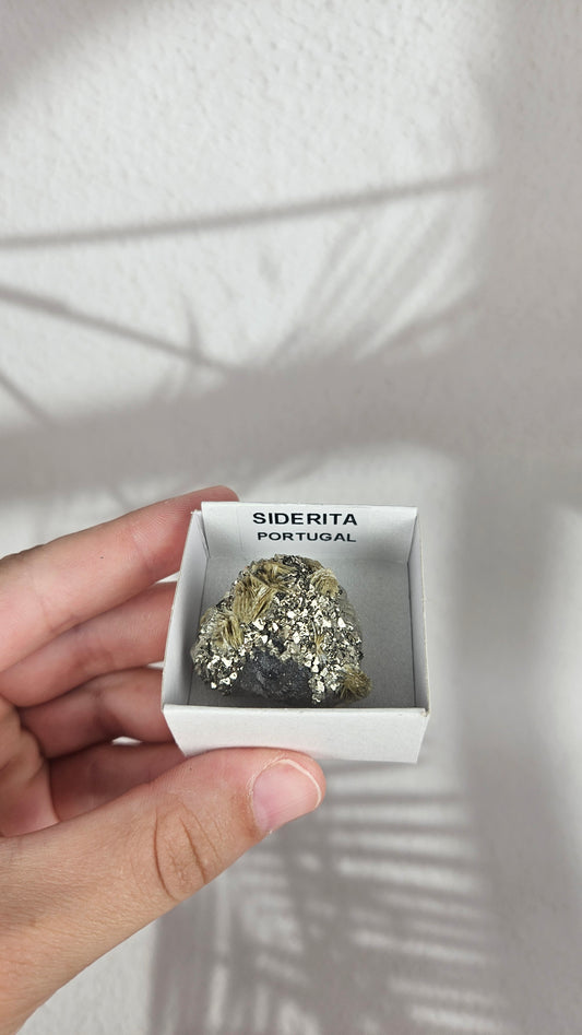 Siderit aus Portugal (25fu)