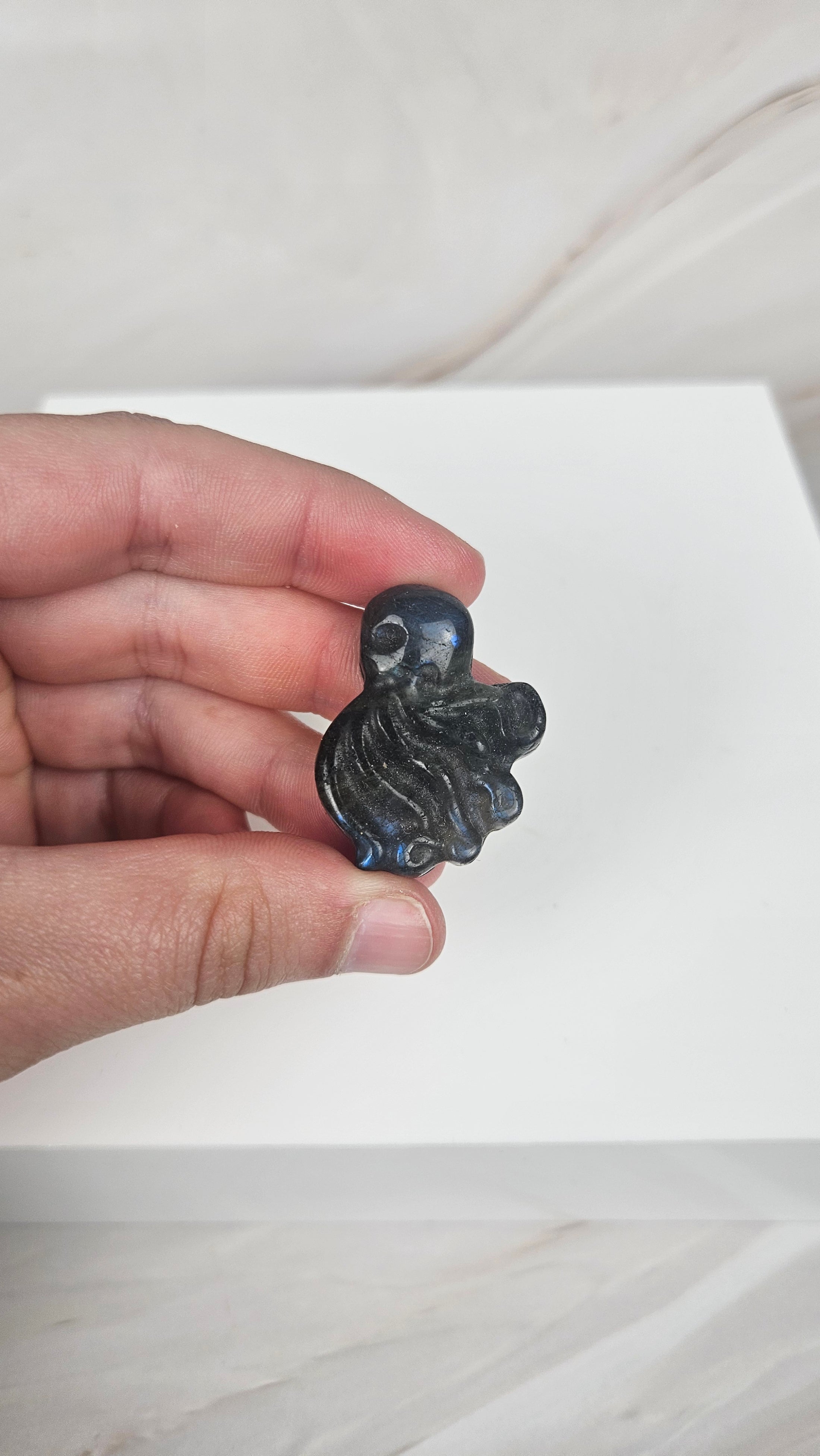 Labradorit Oktopus (11pii)