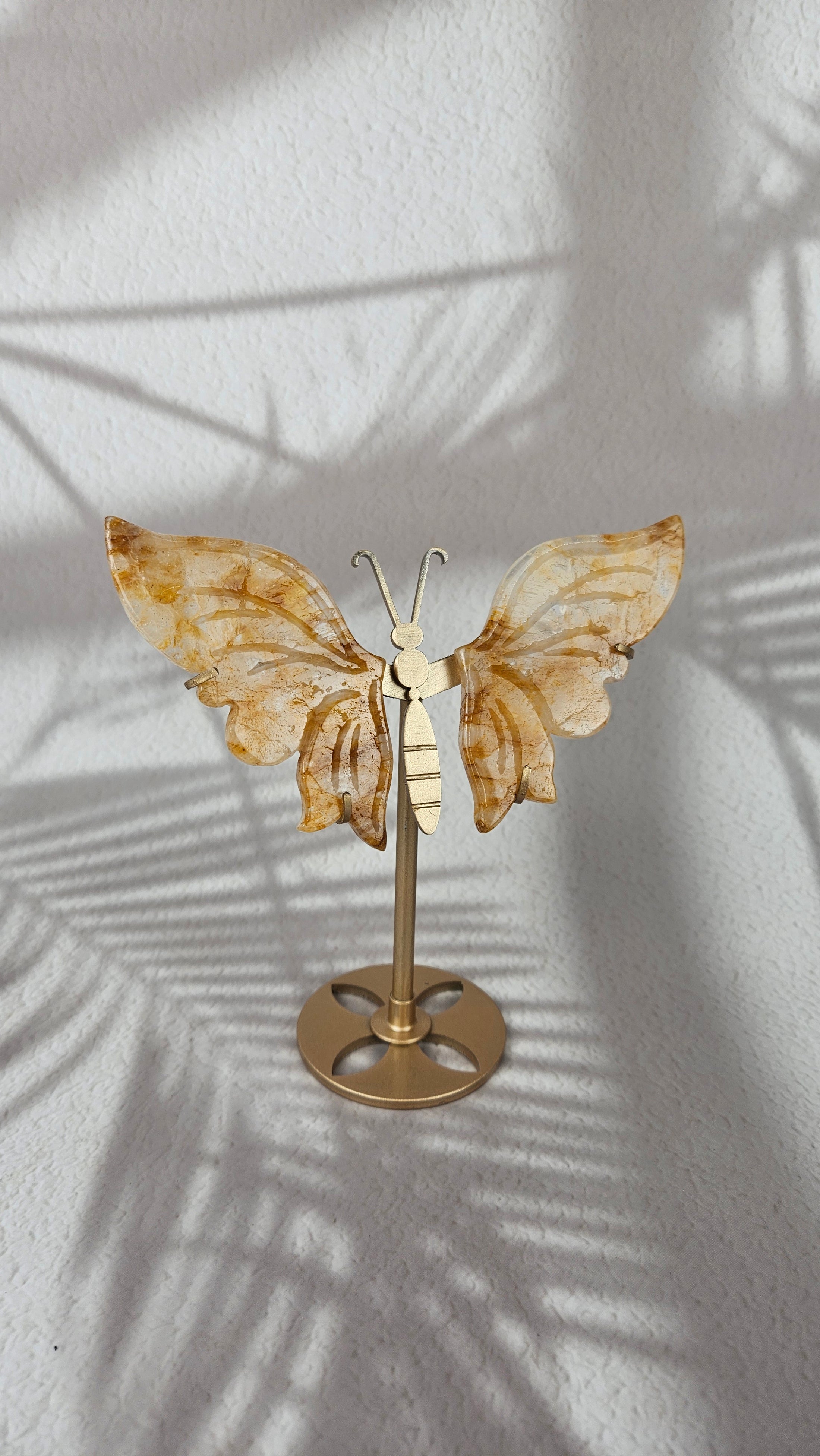 Golden Healer Schmetterling (48gh)