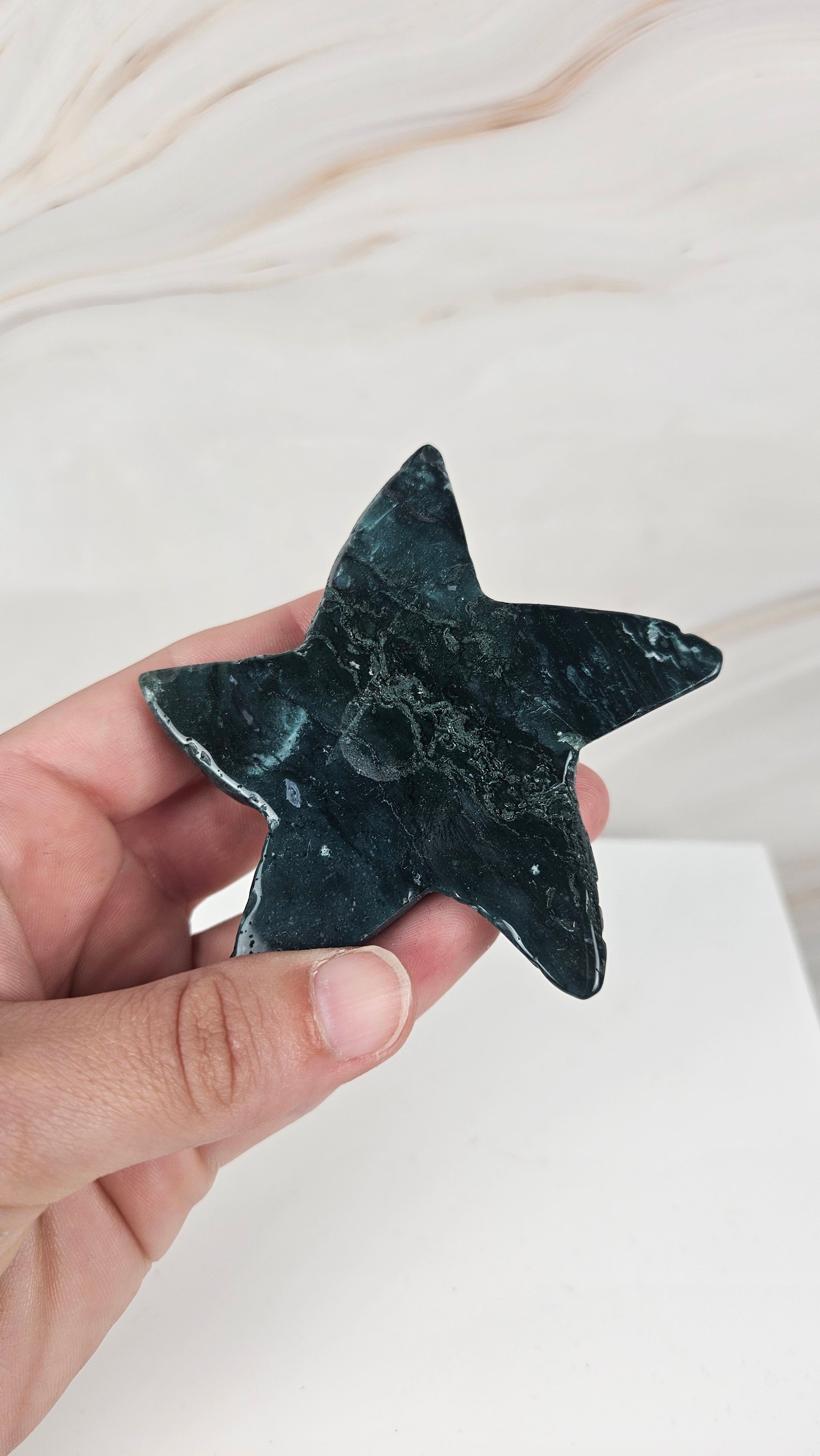 Oceans Jasper Seestern (18st)