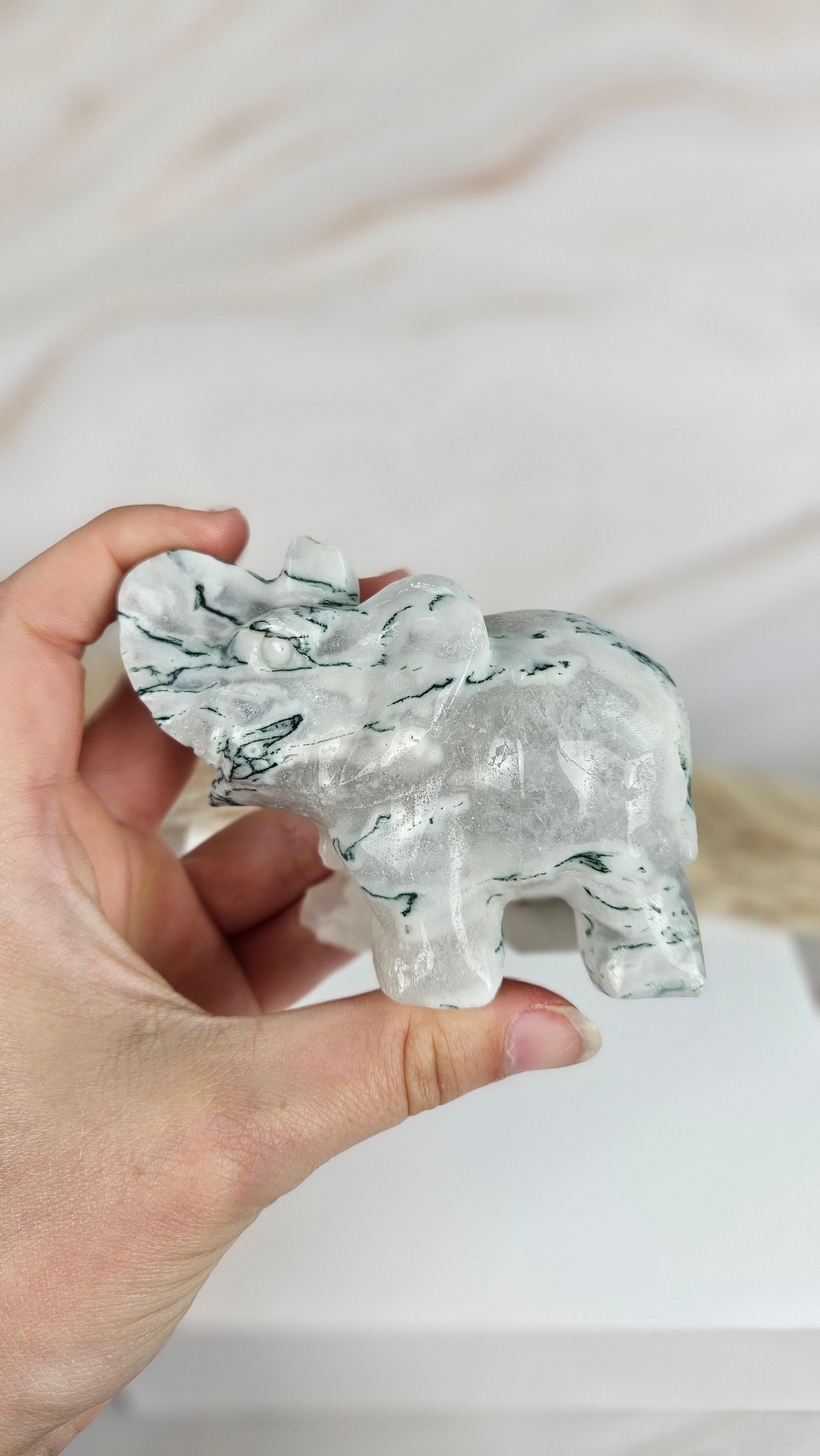 Moosachat Elefant (46moa)